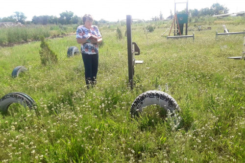 В Ростовской области за непокос травы выписано штрафов на 1,3 млн рублей