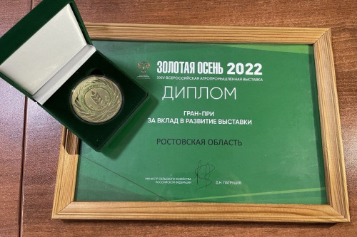 Итогом участия Ростовской области на «Золотой осени-2022» стало 85 наград и гран-при