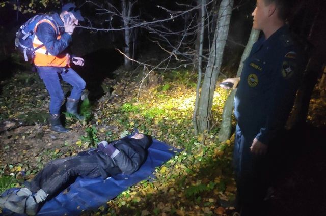 Десять дней в лесу: пропавшую 87-летнюю женщину нашли живой