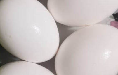 Россельхознадзор: более 50 тонн яиц ввезено в Россию из Азербайджана